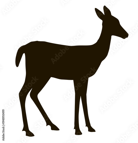 White tailed deer silhouette. Fawn. Deer, animals wild, animals.  illustration on a white background