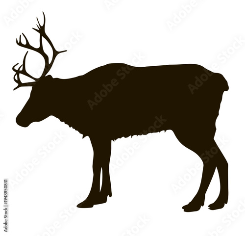 Deer. Reindeer silhouette on a white background. Caribou deer. Animal logo. Artiodactyl mammal. Nature symbol. flat animal silhouette isolated on white