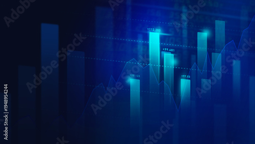 Financial Data schedule monitor screen
