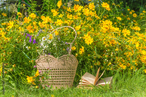 Summer leisure activities concept; Bouquet of wild flowers in a wicker bag and open book on a green lawn near blooming yellow flowers