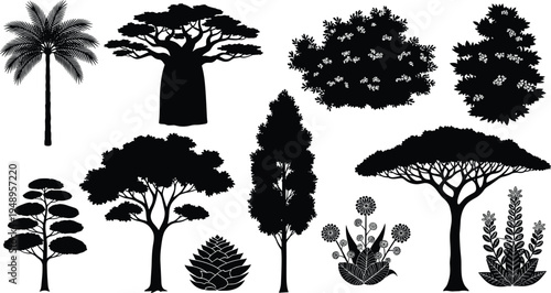 Collection of diverse tree and plant silhouettes including palm, baobab, coniferous, deciduous, umbrella-shaped, shrubs, and flowering species for botanical diversity, landscape design