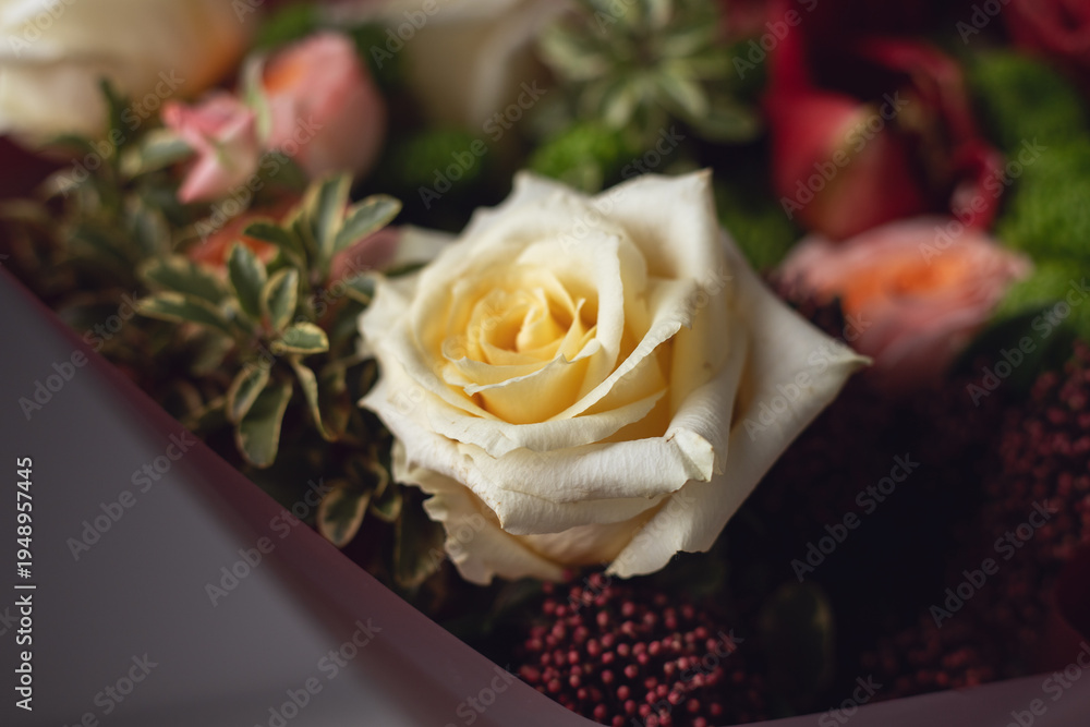 Obraz premium Elegant cream rose in a beautiful floral arrangement. Romantic flower background perfect for wedding design, greeting cards, holiday decorations, floral shops, and luxury botanical themes