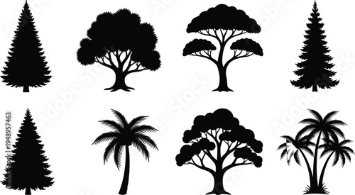 Collection of diverse tree silhouettes including coniferous, palm, and broadleaf species arranged in rows, ideal for botanical diversity, landscape design, and educational illustration use