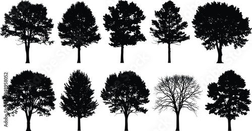 Collection of ten tree silhouettes with varied shapes, including dense canopies, angular branches, and leafless forms, ideal for botanical diversity, landscape design, and educational illustration