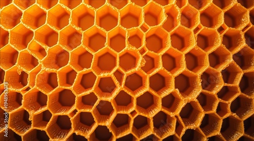Bee honeycomb wax texture background