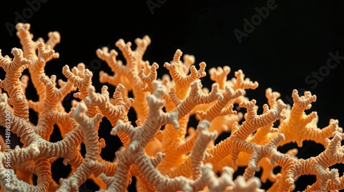 Reef coral porous structure background