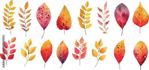 vector set of autumn leaves