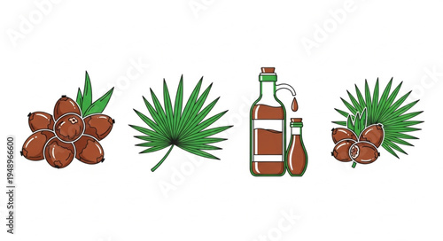Saw Palmetto Illustration - Berries, Leaves, and Oil for Health and Wellness.
