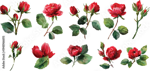 bouquet of red roses flowers