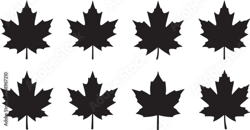 Black Maple Leaf Silhouettes on White Background Illustration