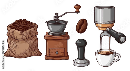 The traditional process of making coffee from bean to cup illustrated step by step