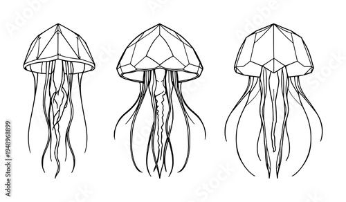 Jellyfish set with symmetrical line art design featuring sea creature, deep sea biology, marine life with modern and polygonal style