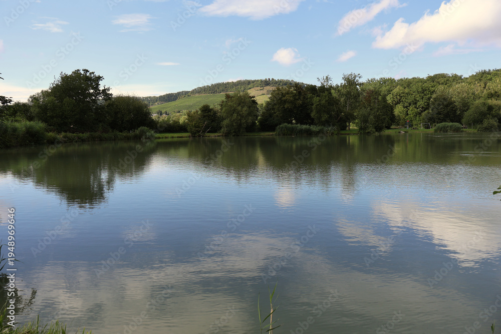 Fototapeta premium Calm lake landscape with forest reflection