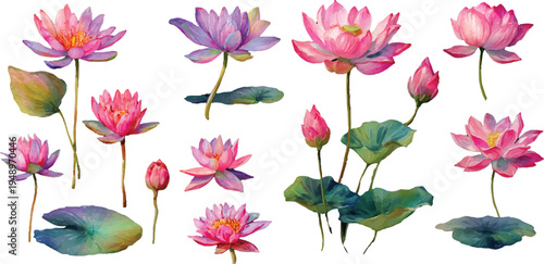 seamless pattern with colorful flowers