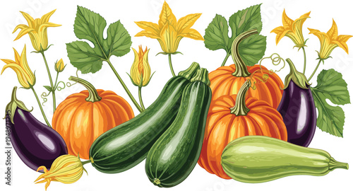 Autumn Harvest Vegetable Vector Set Featuring Pumpkins, Zucchini, Eggplants, and Blossoms for Organic Farming, Fresh Produce, and Gardening Illustrations