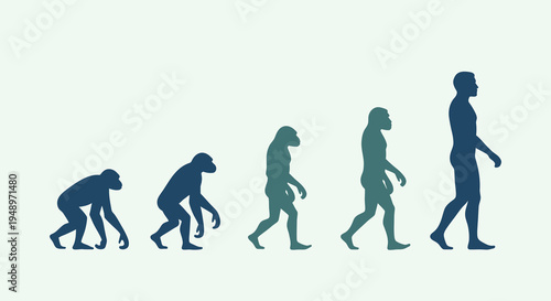 The Journey of Human Evolution Depicted Through Stages of Progression from Ape to Modern Man, Showcasing the Scientific Concept of Biological Evolution Over Time