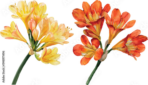 bouquet of orange flowers