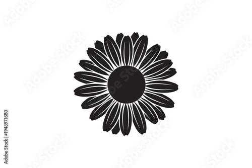 Black Daisy Flower Silhouette Floral Illustration on White