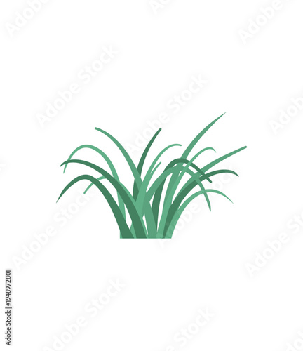 Spring grass illustration