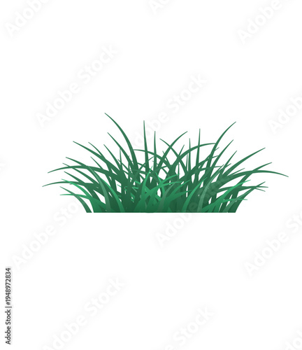 Spring grass illustration