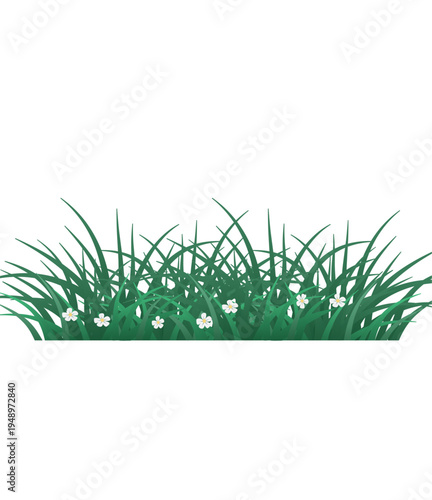 Spring grass illustration