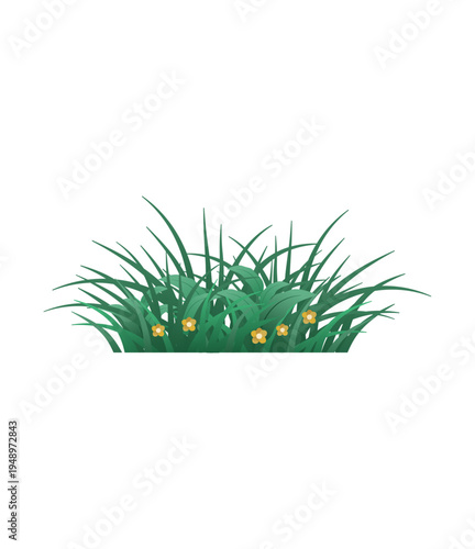 Spring grass illustration