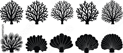 Coral reef and seashell silhouette collection featuring marine coral branches and ocean shell shapes for underwater sea life design