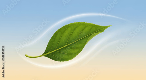 Vibrant Green Leaf with Water Droplets on an Abstract Bright Blue and Yellow Gradient Background