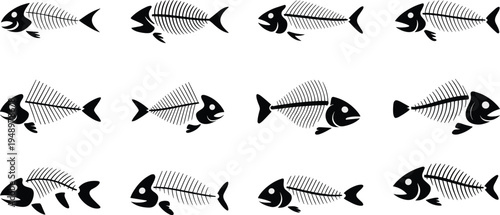 Collection of stylized fish skeleton illustrations in black silhouette, creative design concept for biology, seafood, pattern recognition, and artistic use