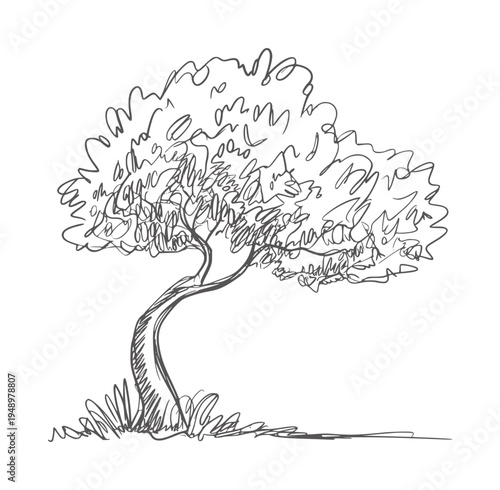 Black and white of a single tree with a curved trunk and leafy crown