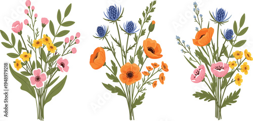 Wildflower Bouquet Collection with Hand Drawn Botanical Flowers Including Poppies Daisies and Meadow Plants for Floral Decoration and Nature Design