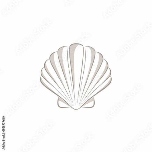 Stylized seashell illustration on white background with minimalist design