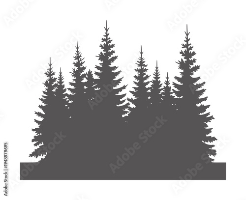 Dense dark grey evergreen forest silhouette against white trees