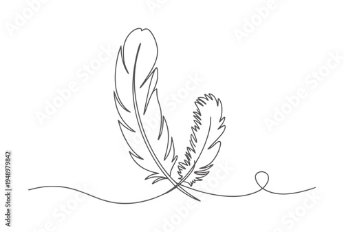 Minimalist black and white line of two delicate feathers quill