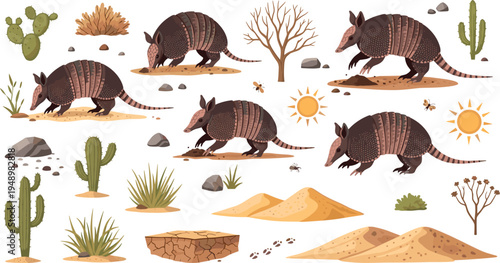 Armadillo Desert Wildlife Animal Set with Cactus Sand Dunes Sun Vector Illustration
