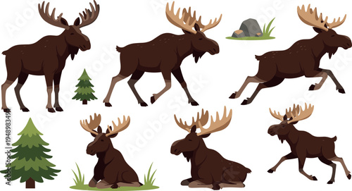 Cute Cartoon Moose Character Set with Pine Trees Grass Rock Vector Illustration