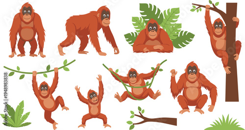 Cute Cartoon Orangutan Character Set with Jungle Leaves Tree Branch Vector Illustration