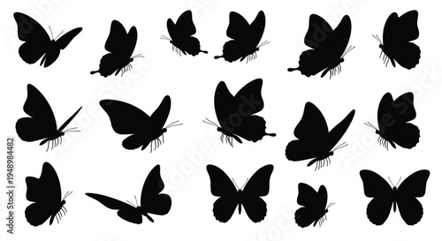 A collection of black butterfly silhouettes in various flight poses