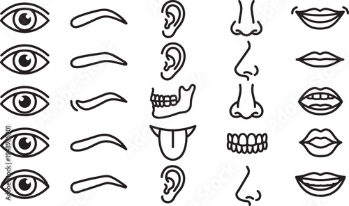 An illustrative collection of human face element.  A minimalist vector illustrations of human eyes, eyebrows, ears, noses, lips, and tongue on a backdrop.