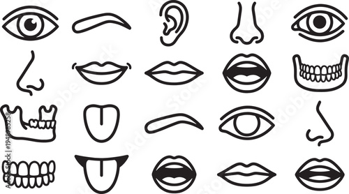 Simplified facial feature outlines. A minimalistic illustration of various elements that construct the human face. The images offer a simple, stylized representation of human features.