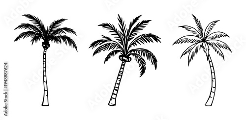 Palm tree icon set with a single black vector silhouette featuring tropical island, foliage, palm leaf with silhouette and monochrome