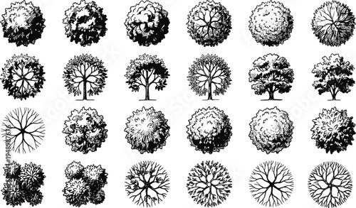 Collection of black and white tree illustrations grid, diverse canopy and trunk styles for landscape design, architectural planning, artistic references, and schematic visualization projects