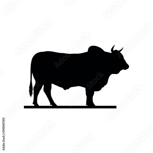 Brahman bull silhouette vector flat illustration design.