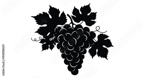 Elegant black grape bunch with leaves a striking graphic silhouette