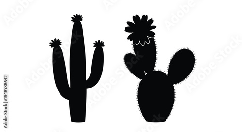 Black silhouette illustrations of two different cactus plants against a white background