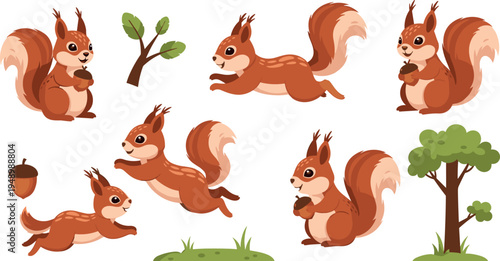 Cute Cartoon Squirrel Character Set with Acorn Tree Grass Forest Vector Illustration