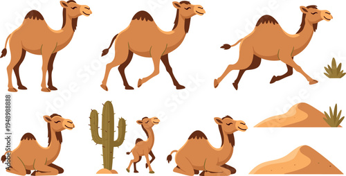 Cute Cartoon Camel Desert Animal Character Set with Cactus Sand Dunes Vector Illustration