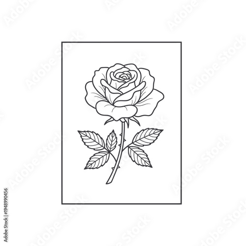 Elegant Rose Outline Drawing for Artistic Projects.