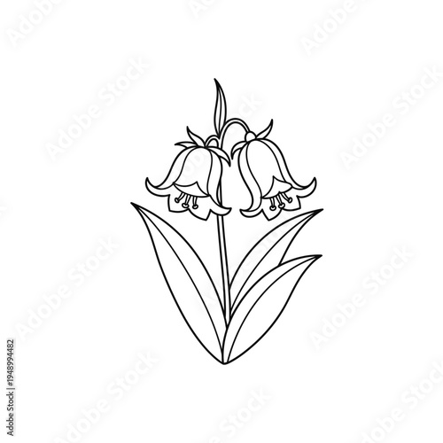 Elegant Line Art Illustration of a Fritillary Flower.