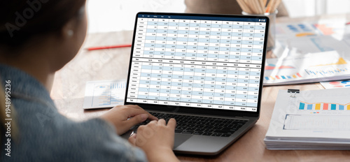 Photography Accounting software on computer screen showing financial statement spreadsheets